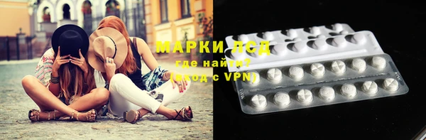 амф Бородино