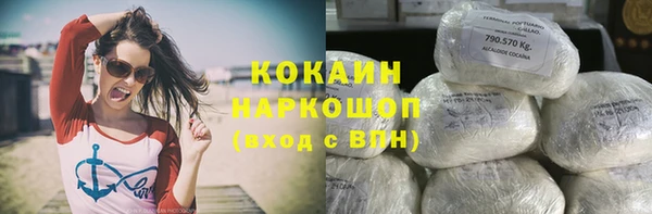 кокс Богородицк