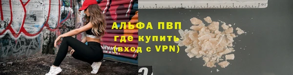 дмт Богородск
