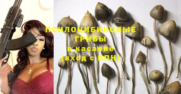 кокс Богданович