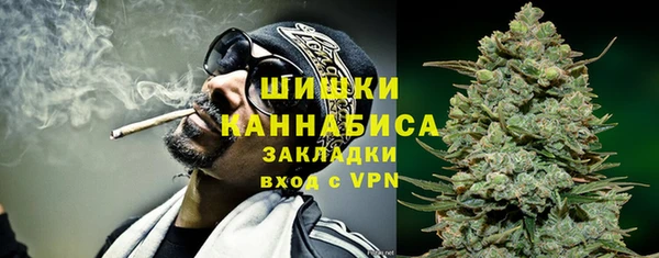 дмт Богородск