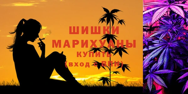 дмт Богородск