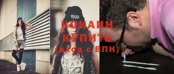 дмт Богородск