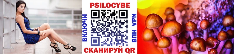 купить  цена  блэк спрут tor  Псилоцибиновые грибы мицелий  Бикин 